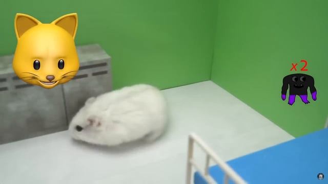 THIS HAMSTER BEAT GARTEN OF BANBAN 2?! смотреть онлайн