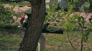 УНИЧТОЖЕНИЕ КОМАРОВ В ЛОВЧИЙ ПЛЮС.mp4