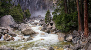 Успокаивающие Звуки. Журчание Реки И Щебетание Птиц, Которые Усыпят Вас За 10 Минут