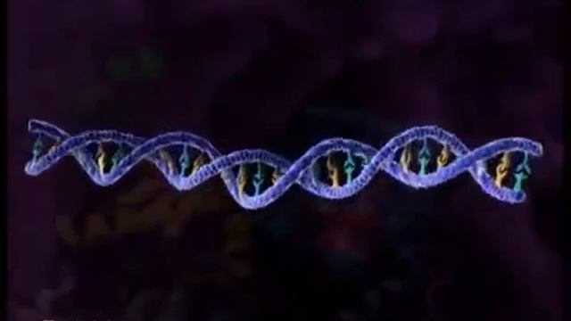 Условия для проникновения ВИЧ в организм