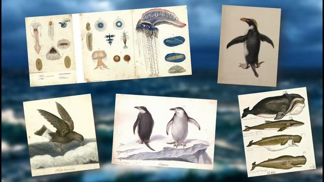 "Российский Колумб" (245 лет со дня рождения Ф. Ф. Беллинсгаузена) смотреть онлайн