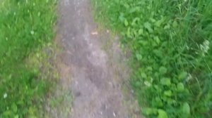 КОККОРЕВО.ЧАСТЬ ВТОРАЯ.