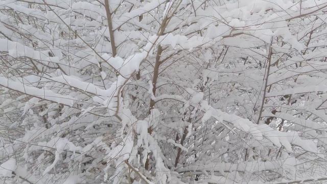 Выпал первый снег как зимняя сказка смотреть онлайн