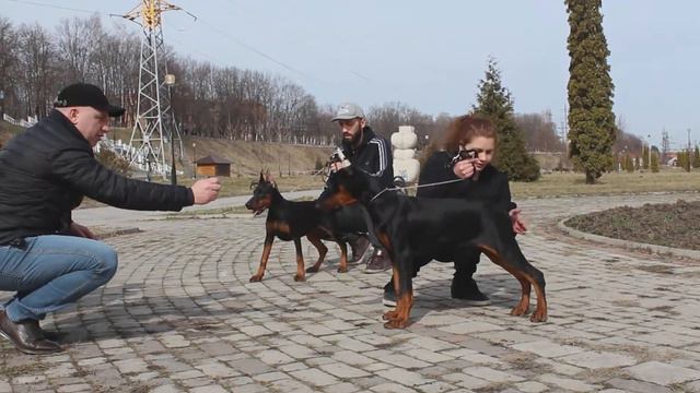 Тренинг: движения, стойка, беби 4 месяца смотреть онлайн