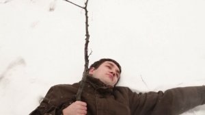 Кошка убила человека