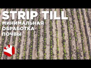 Технология strip-till | Минимальная обработка почвы | Технологии растениеводства