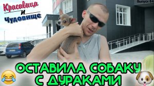 ОСТАВИЛА СОБАКУ С ДУРАКАМИ [Красавица и Чудовище] (Выпуск 84)