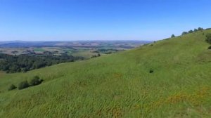 Кумандинцы — коренные жители Алтая