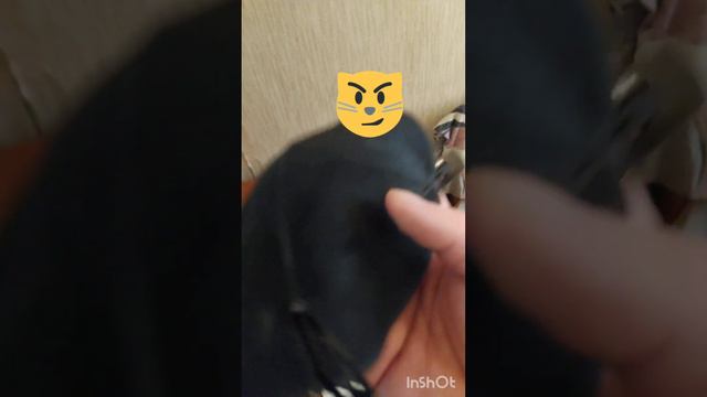 Как лысые носят кипу / еврейская шапочка, кипа, ермолка, головной убор #иудаизм #евреи #Израиль смотреть онлайн