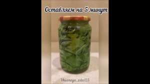 Рецепты долмы из виноградных листьев. Как засолить виноградные листья для долмы на зиму?