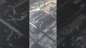 Покраска ворот под профнастил автомобильной краской ,, vika,,