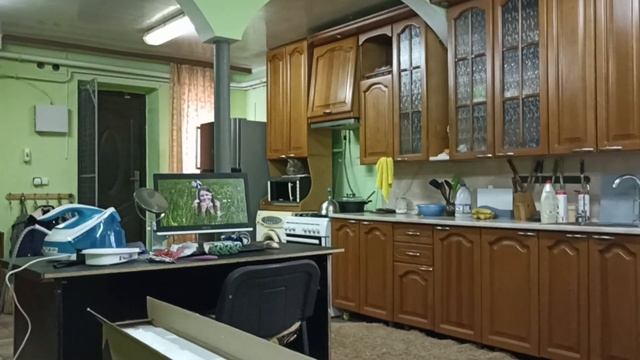 ПЕРЕЕЗД НА ЮГ/Обзор покупок ДНС/Что нам ПОДСУНУЛИ/Купили ТЕЛЕВИЗОР и ПАРОГЕНЕРАТОР!
