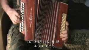 Расцвела под окошком белоснежная вишня с нотами в цифрах