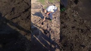 Мальчика засосало в зыбучие пески !