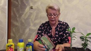 Адениумы из семян.Фантастическая окраска.