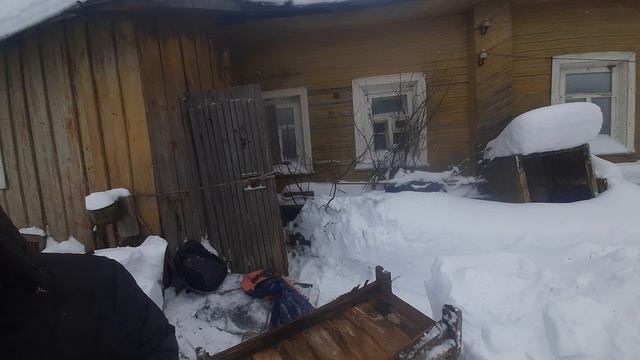 освободил сени от мебели | задохнутся ли пчёлы? смотреть онлайн