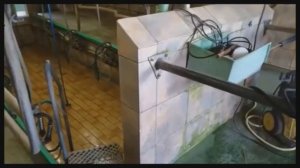 Доильный зал с входом в бюджетный коровник на немецкой ферме для молока сыроварам
