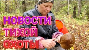 Актуальные новости тихой охоты Подмосковье 21.09.2022