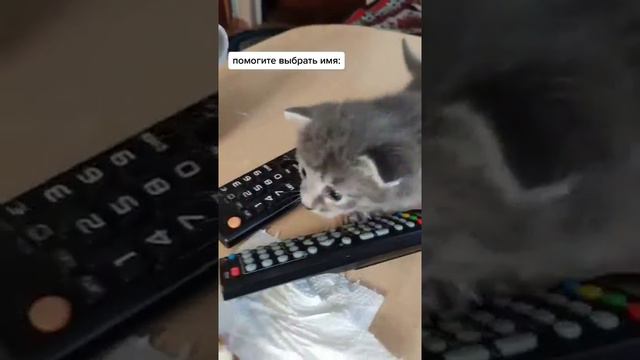 помогите выбрать имя