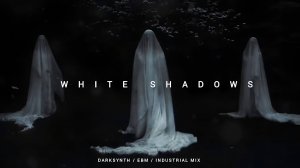 Darksynth / Cyberpunk / Dark Electro Mix 'White Shadows'