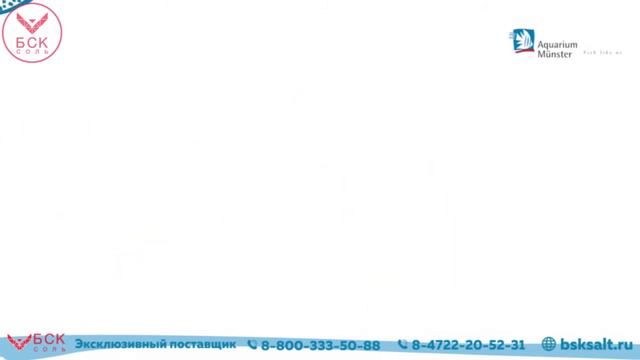 AQUAVITAL BACTOSPRINT - как улучшить водную экосистему Вашего аквариума смотреть онлайн