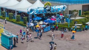 «Ночная сказка» Шанхайского океанариума