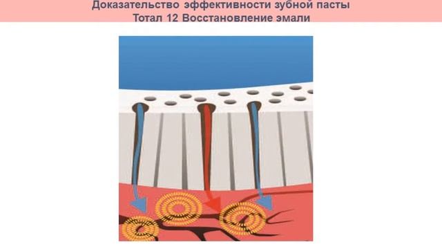 Уменьшение чувствительности зубов. Зубная паста с гидроксиопатитом. смотреть онлайн