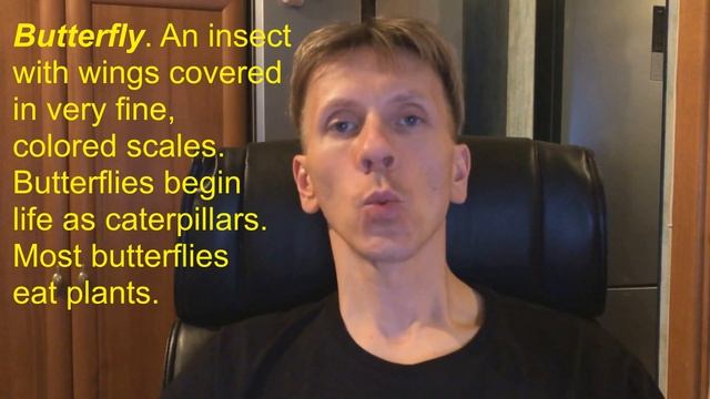 50 Учимся читать BUTTERFLY смотреть онлайн