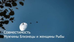 Совместимость мужчины Близнецы и женщины Рыбы