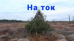 На ток.