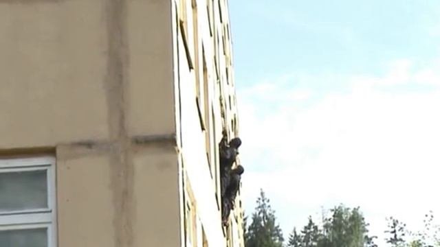 Веревочная лестница
