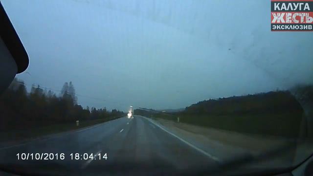 Невозмутимый лось на трассе в Калужской области смотреть онлайн