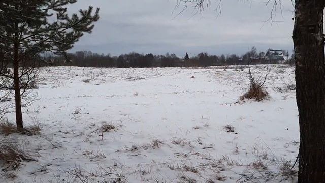 что значит мыслить стратегически и как развивать стратегическое мышление?