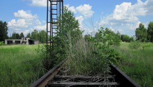 Заброшенный железнодорожный путь около станции Гороховец