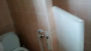 Я в школьном туалете