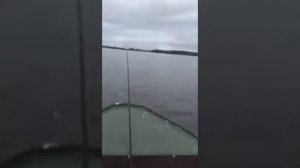 Винбот 38 м и ямаха 15 обь