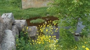 🌾Край Родной, Навек Любимый #1 music video