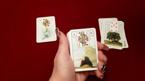 Карты Ленорман:" Лилии"- значение и сочетание с другими картами