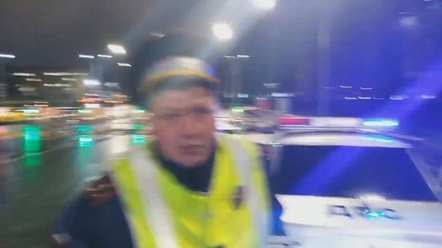 БУДЕШЬ СТОЯТЬ ПОКА НЕ СДОХНЕШЬ: Террористы Ространснадзора взяли в заложники водителя. смотреть онлайн