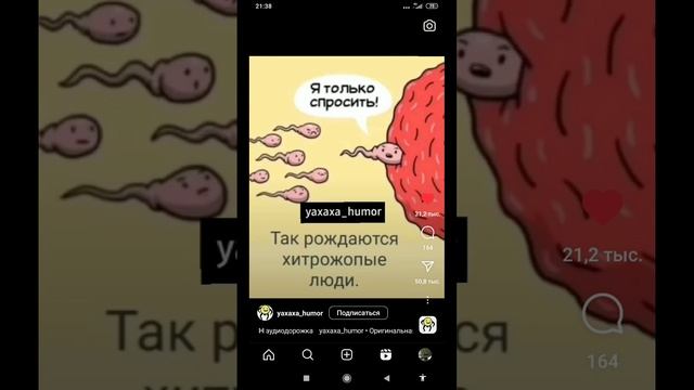 юмор)))так рождаются хитрожопые люди#shortvideo