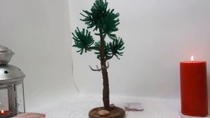 бисерное дерево сосна Грация