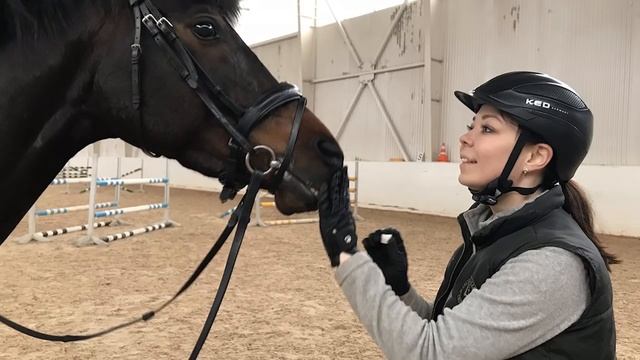 Наконец- то канал про конный спорт!!! Давайте знакомиться!!! смотреть онлайн