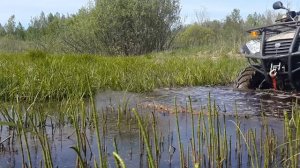 Через болото