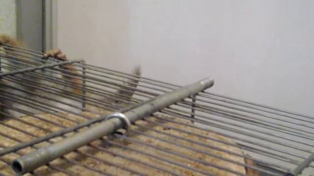 Бурислав смотреть онлайн