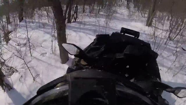 Квадро день.Отлично покатались,порубились в старом русле реки. смотреть онлайн