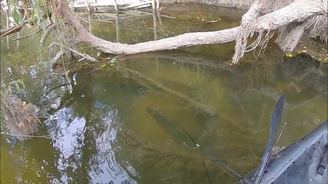 Ballade bord et kayak (silure, aspe) смотреть онлайн