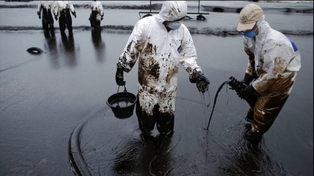 Презентация на тему Экологии. смотреть онлайн