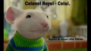 Stuart Little (Reprise Colonel Reyel - Celui)