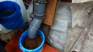 Выбивка перги Получение ПЖЛВМ