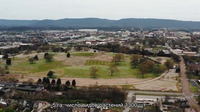 Топ 10 старейших ботанических садов Украины смотреть онлайн